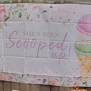 She's Been Scooped Up Backdrop Ice Cream Bridal Shower Pink Green Wedding